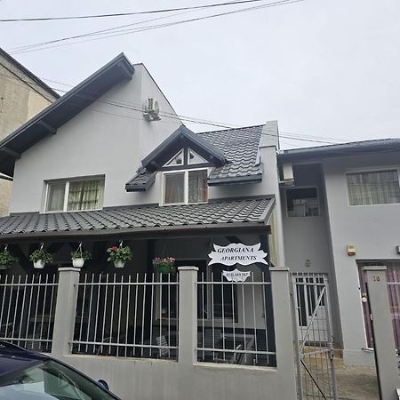 Georgiana Apartments 2 Timisoara Ngoại thất bức ảnh