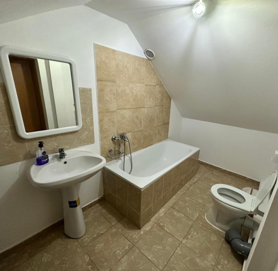 Georgiana Apartments 2 Timisoara Ngoại thất bức ảnh