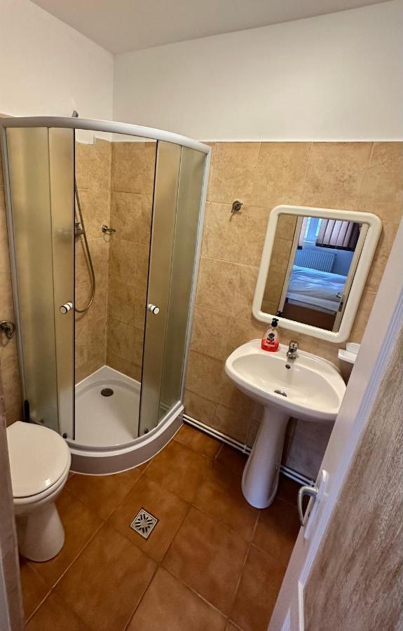 Georgiana Apartments 2 Timisoara Ngoại thất bức ảnh
