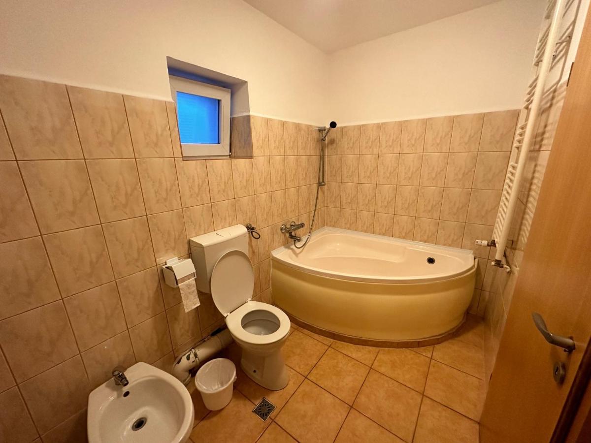 Georgiana Apartments 2 Timisoara Ngoại thất bức ảnh