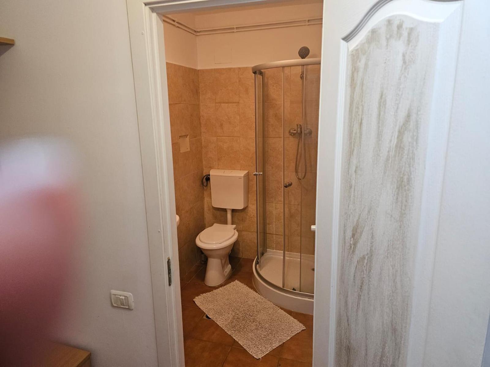Georgiana Apartments 2 Timisoara Ngoại thất bức ảnh